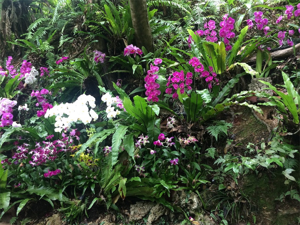 f:id:pilattu0730:20160630222617j:image f:id:pilattu0730:20160630222617j:image